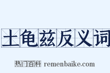 土龟兹反义词是什么意思的图片